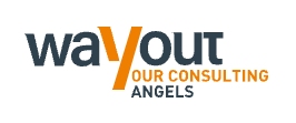 Wayout consulting